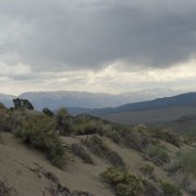 MonoBasin 008 : MonoBasin